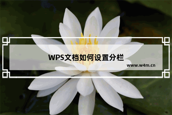 WPS文档如何设置分栏