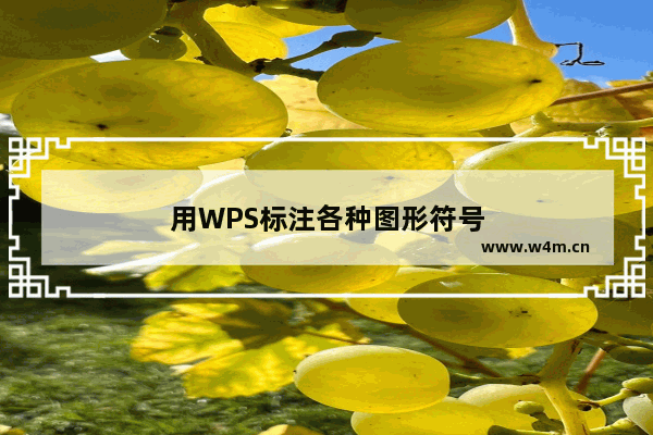 用WPS标注各种图形符号