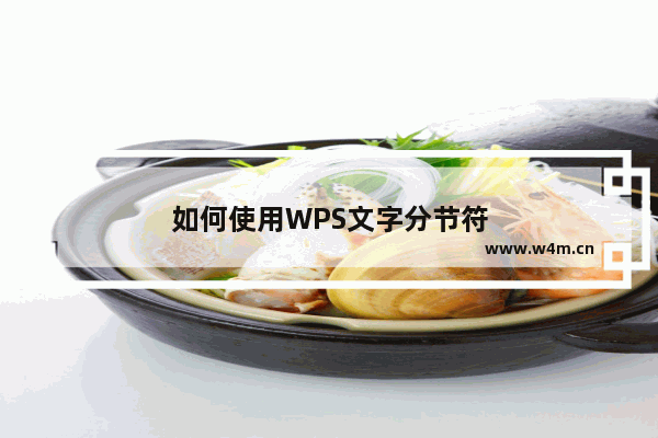 如何使用WPS文字分节符