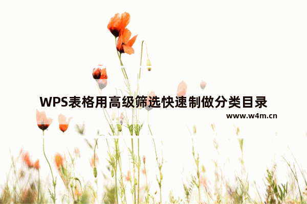 WPS表格用高级筛选快速制做分类目录