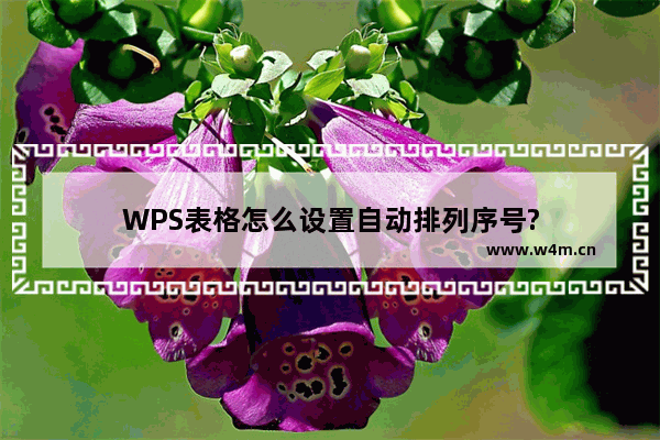 WPS表格怎么设置自动排列序号?