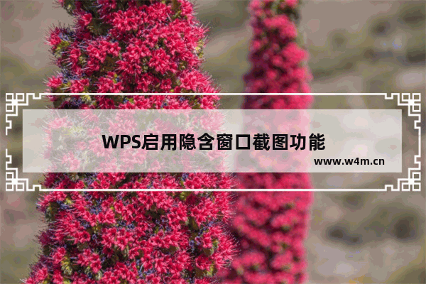 WPS启用隐含窗口截图功能