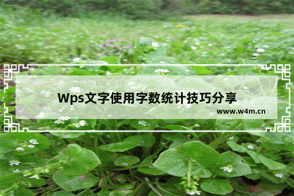 Wps文字使用字数统计技巧分享