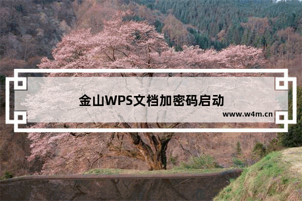 金山WPS文档加密码启动