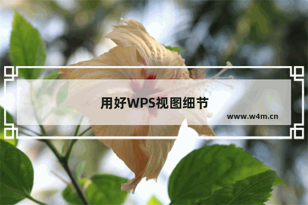 用好WPS视图细节