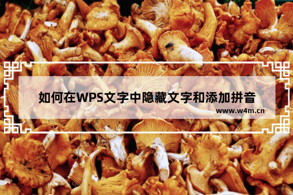 如何在WPS文字中隐藏文字和添加拼音