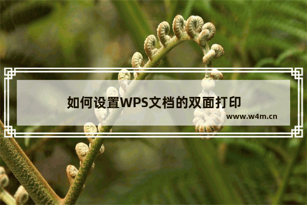 如何设置WPS文档的双面打印