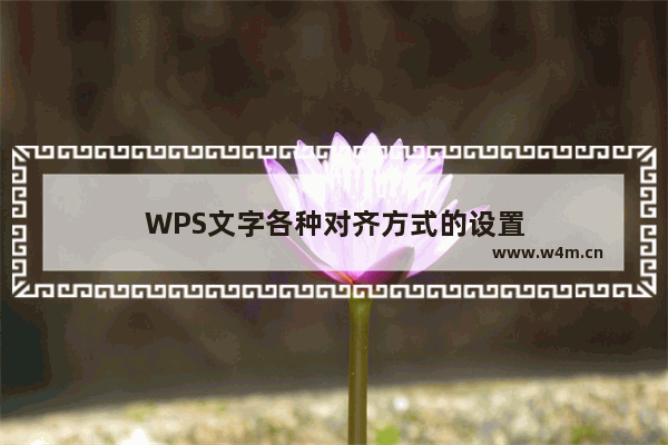 WPS文字各种对齐方式的设置