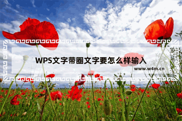 WPS文字带圈文字要怎么样输入