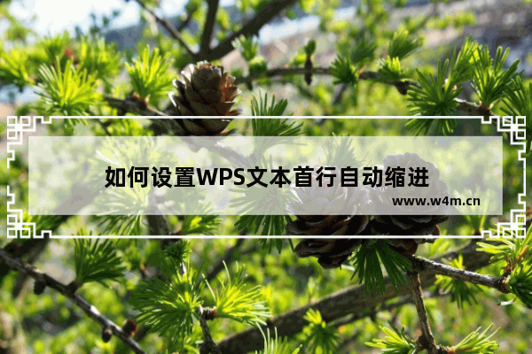 如何设置WPS文本首行自动缩进