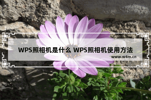 WPS照相机是什么 WPS照相机使用方法