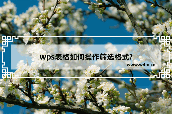 wps表格如何操作筛选格式?