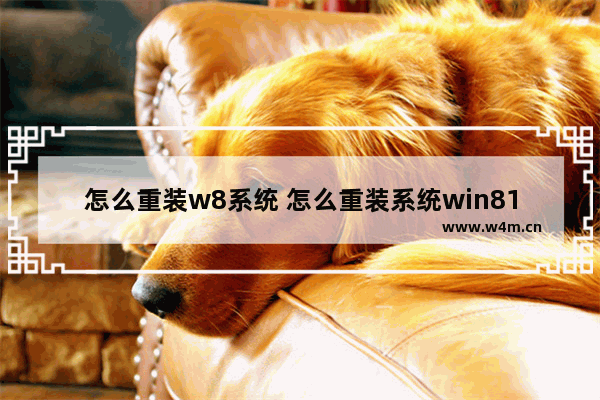 怎么重装w8系统 怎么重装系统win81