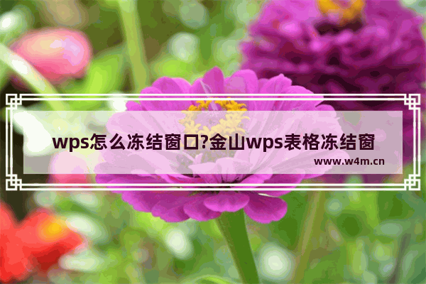 wps怎么冻结窗口?金山wps表格冻结窗口设置教程