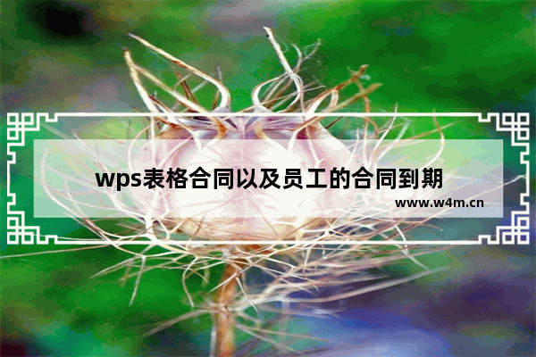 wps表格合同以及员工的合同到期