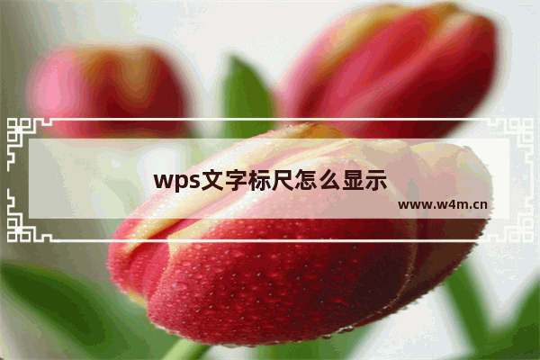 wps文字标尺怎么显示