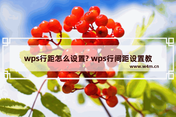 wps行距怎么设置? wps行间距设置教程