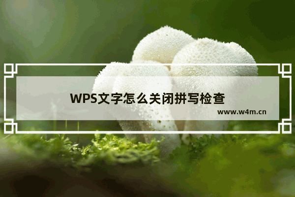 WPS文字怎么关闭拼写检查