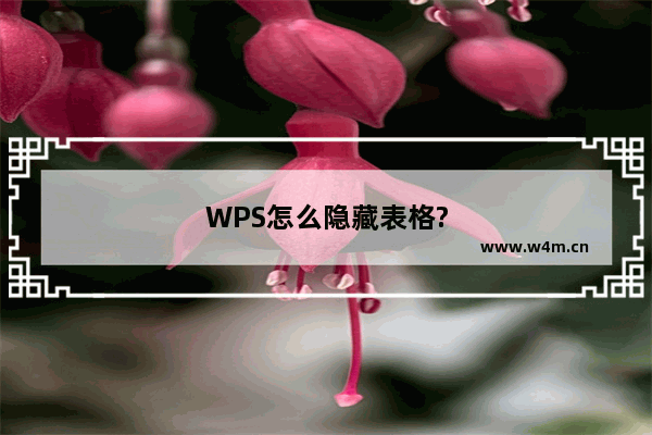 WPS怎么隐藏表格?