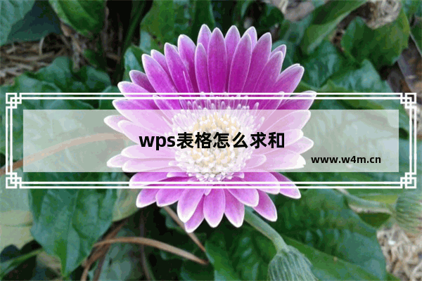 wps表格怎么求和