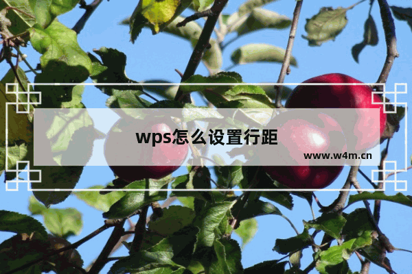 wps怎么设置行距