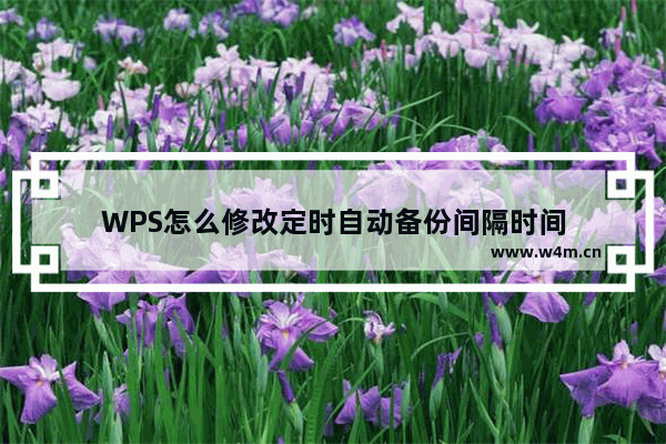 WPS怎么修改定时自动备份间隔时间