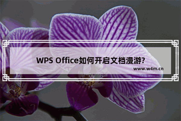 WPS Office如何开启文档漫游?