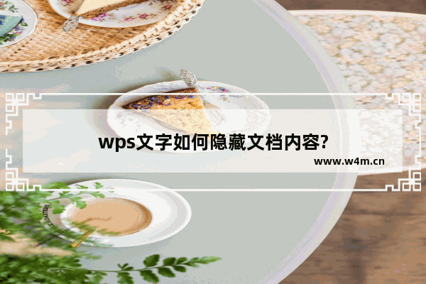 wps文字如何隐藏文档内容?