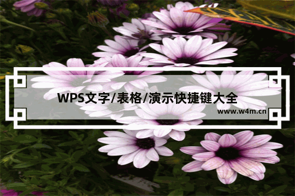 WPS文字/表格/演示快捷键大全