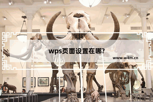 wps页面设置在哪?