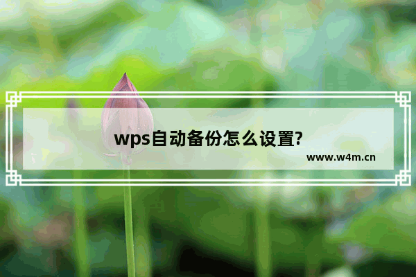 wps自动备份怎么设置?