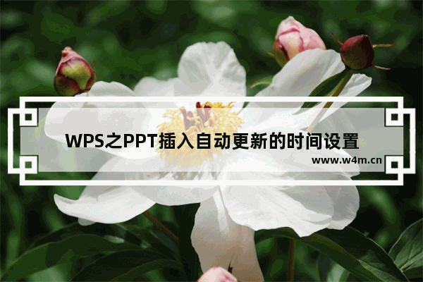 WPS之PPT插入自动更新的时间设置