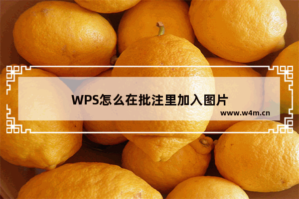 WPS怎么在批注里加入图片