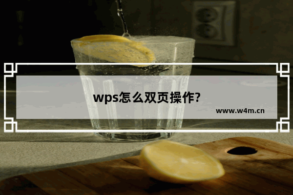 wps怎么双页操作?