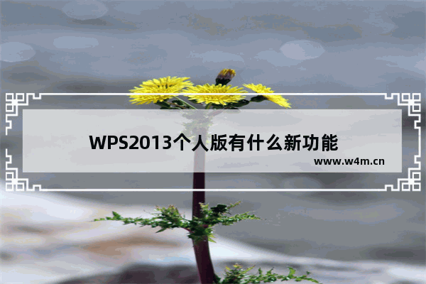 WPS2013个人版有什么新功能