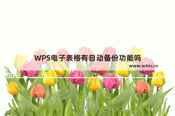 WPS电子表格有自动备份功能吗