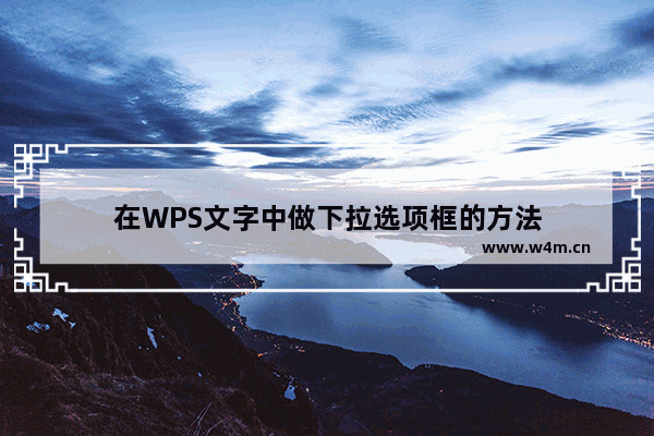 在WPS文字中做下拉选项框的方法