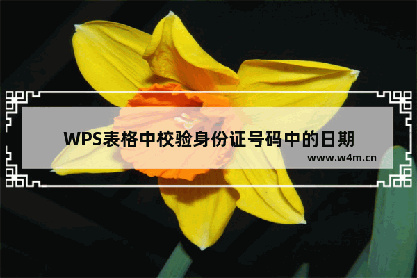 WPS表格中校验身份证号码中的日期