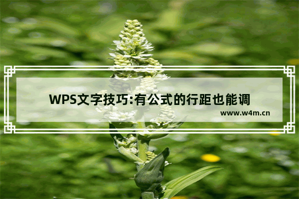 WPS文字技巧:有公式的行距也能调