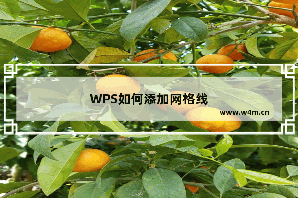 WPS如何添加网格线