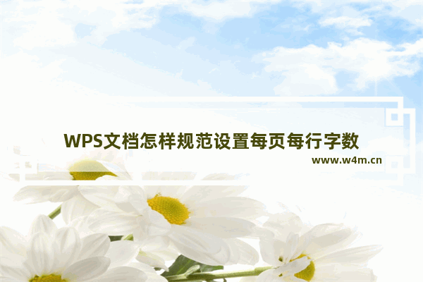 WPS文档怎样规范设置每页每行字数