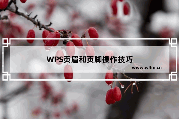 WPS页眉和页脚操作技巧