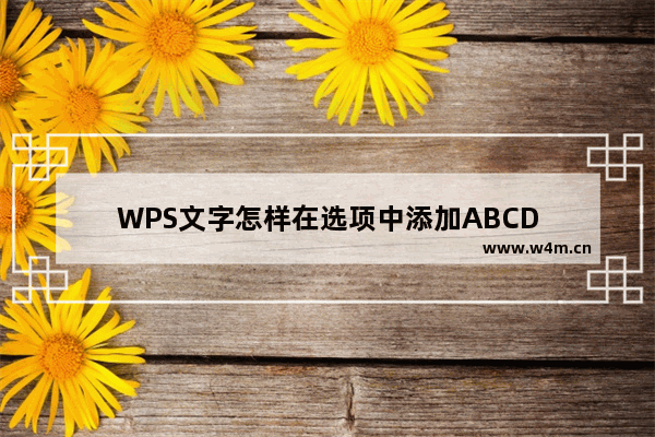 WPS文字怎样在选项中添加ABCD