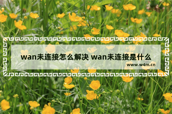 wan未连接怎么解决 wan未连接是什么