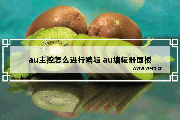 au主控怎么进行编辑 au编辑器面板