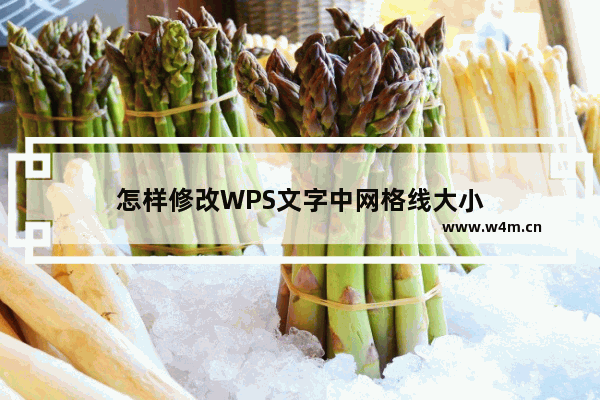 怎样修改WPS文字中网格线大小