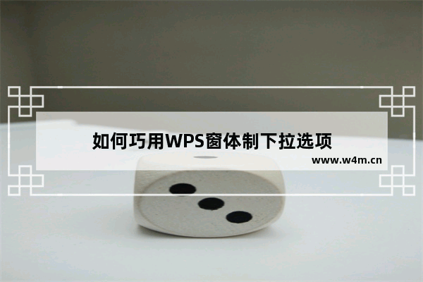 如何巧用WPS窗体制下拉选项