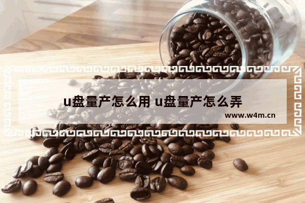 u盘量产怎么用 u盘量产怎么弄