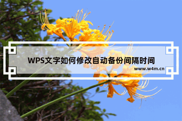 WPS文字如何修改自动备份间隔时间