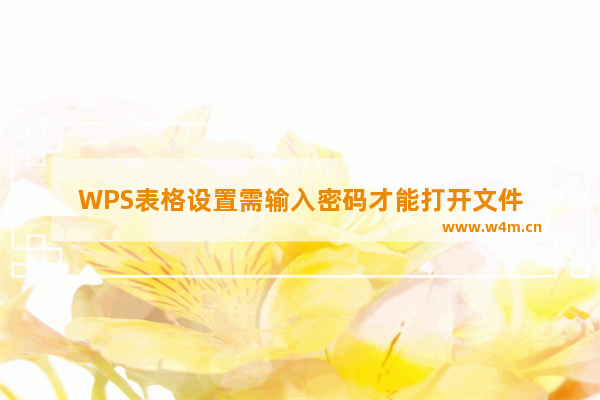 WPS表格设置需输入密码才能打开文件